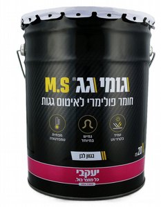 ���� �� MS ��� 20 �"�
