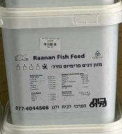 ���� ���� ������� ���� 5 ����