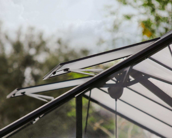 ���� 4.5X3.8 ��� ������ 706970 Canopia Triomphe