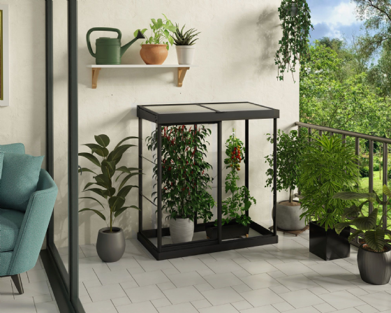 ���� ���� ����� 1.3X0.6 ��� Canopia IVY
