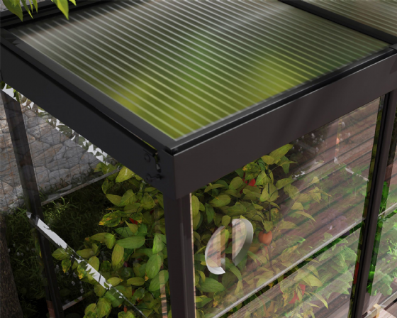 ���� ���� ����� 1.3X0.6 ��� Canopia IVY
