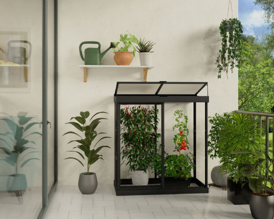 ���� ���� ����� 1.3X0.6 ��� Canopia IVY