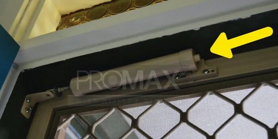 ����� ��� ������� ����� + ��� ���� ������� PROMAX