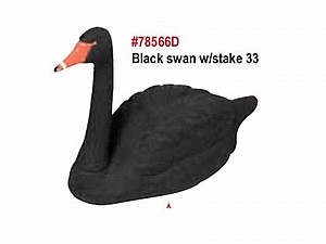 áøáåø ùçåø 84 ñ"î áøáåø ùçåø 84 ñ"î
