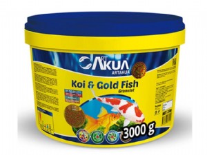 ���� �� ���� ����� ��� ��� ���� ������  3 �"� Koi & Goldfish �������� ARTAKUA