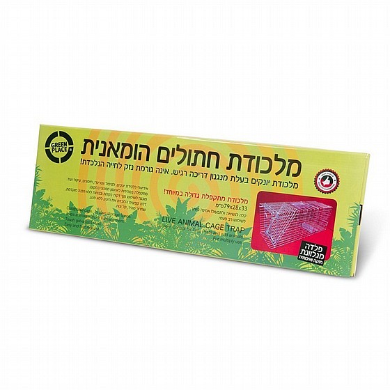 ������ ������ ������ Green Place