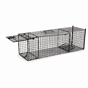 ������ ������ ����� Green Place