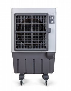 ���� ����� 22000 ��"� ARPO