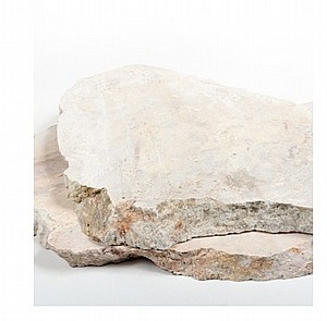 ��� ���� ����� 