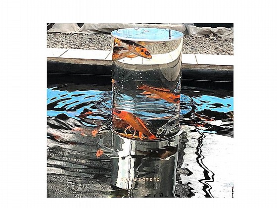 ���� ���� �������� ������ ���  ������ UBBINK FISHTOWER-100