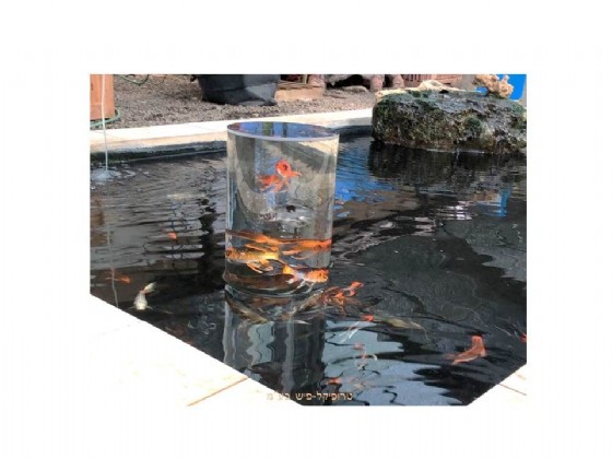 ���� ���� �������� ������ ���  ������ UBBINK FISHTOWER-100