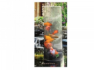 ���� ���� �������� ������ ���  ������ UBBINK FISHTOWER-50