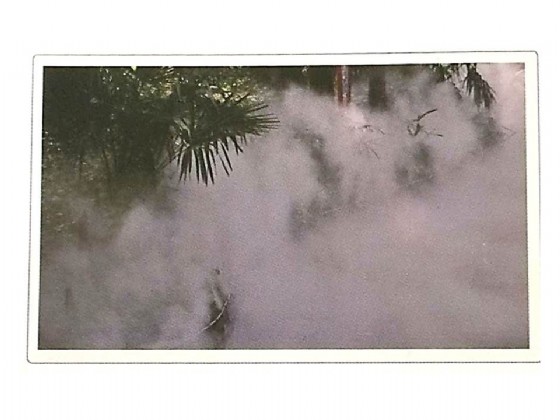 ��� ����� �� ���� (MIST), �������  ����� "3/4 ��� FN20 ������� HUIQI