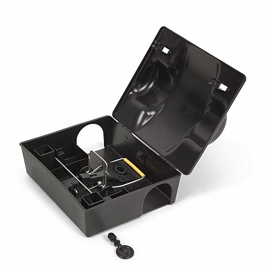 ���� ����� ������� �������� ������ ���� ������� ���� Green Place