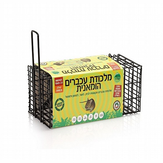 ������ ������ ������ ����� ������ Green Place 20x10x10