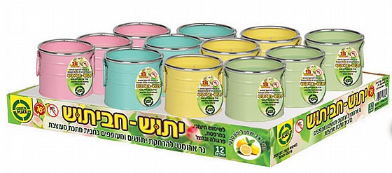 �� ���� ������ �������� ������ 16 ���� ����� Green Place 
