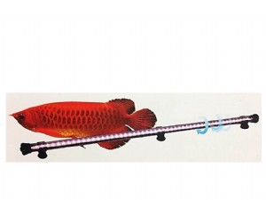 ����� �� ��������� 10W,  ����� ����� ��� AquaSyncro-Resun  LD-58 �����