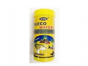���� ������ ���� ������ ��������� ������ ��� SISO PLECO WAFERS 500