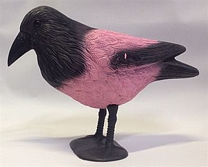 òåøá ùçåø åøåã òì áñéñ òåøá ùçåø åøåã òì áñéñ