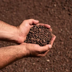 ��� 0-8 ����� �� 2 ��� ����� Deshanit