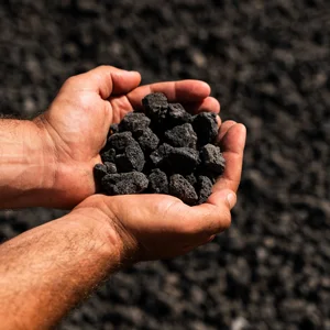 ��� 4-20 �"� ���� �� 1 ��� ����� Deshanit