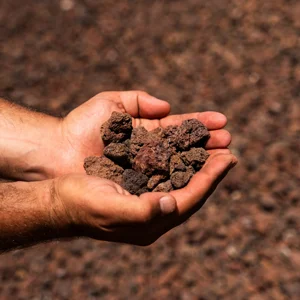 ��� 4-8 �"� �����/����� �� 1 ��� ����� Deshanit