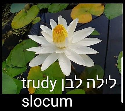 ��� ��� ���� ���