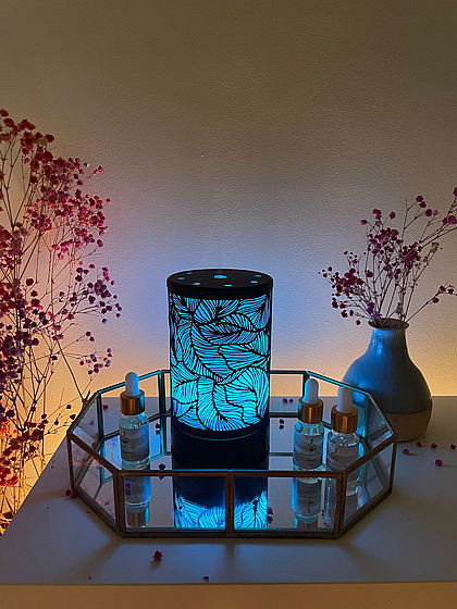 ����� ���� ������ ���� ��� ���� ��� ��� ����� ����/���/���/����/���� Scentchips *���� ��� 1 ������*
